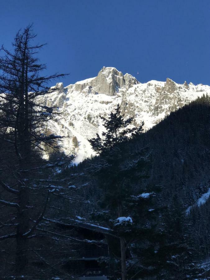 Brévent - Melèze