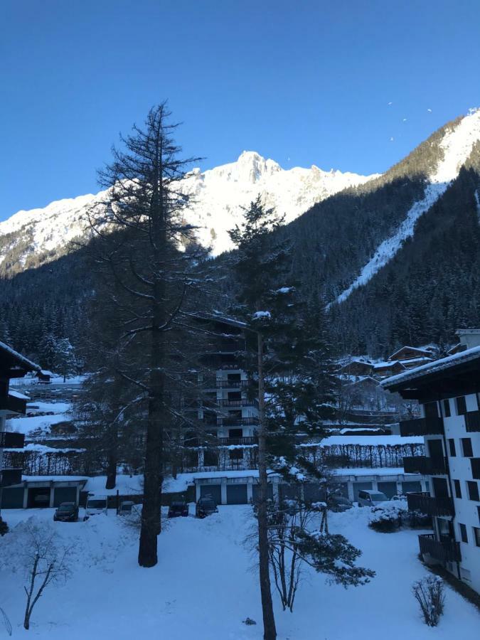 Appartement Brevent - Meleze *